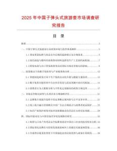 2025年中国子弹头式旅游壶市场调查研究报告