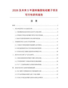 2026及未来5年瓷砖釉面粘结腻子项目可行性研究报告