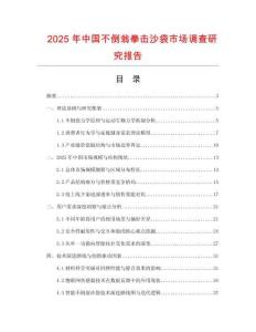 2025年中国不倒翁拳击沙袋市场调查研究报告