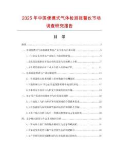 2025年中國便攜式氣體檢測報警儀市場調查研究報告