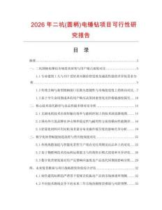 2026年二坑(圓柄)電錘鉆項目可行性研究報告