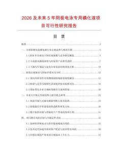 2026及未来5年阴极电泳专用磷化液项目可行性研究报告