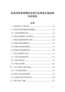 财务风险管理模型系统行业跨境出海战略分析报告