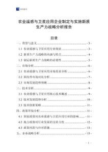 農業遙感與衛星應用企業制定與實施新質生產力戰略分析報告