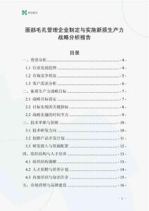 面部毛孔管理企業制定與實施新質生產力戰略分析報告