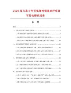 2026及未來5年無機彈性保溫地坪項目可行性研究報告