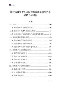 能效标准宣贯企业制定与实施新质生产力战略分析报告