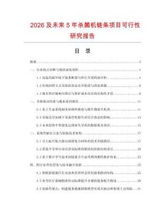 2026及未來5年殺菌機鏈條項目可行性研究報告