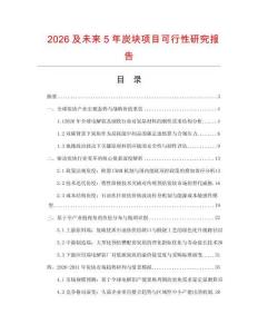 2026及未來5年炭塊項目可行性研究報告