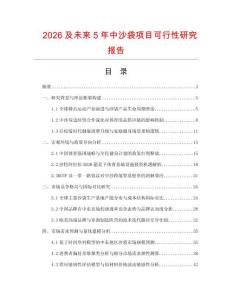 2026及未来5年中沙袋项目可行性研究报告
