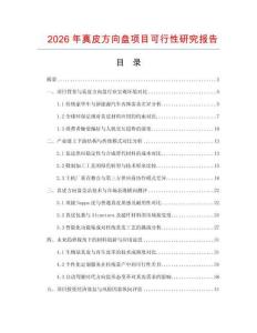 2026年真皮方向盘项目可行性研究报告