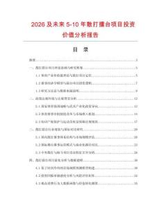 2026及未來5-10年散打擂臺項目投資價值分析報告