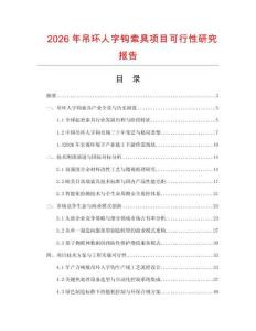 2026年吊环人字钩索具项目可行性研究报告