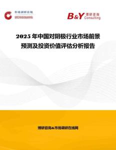 2025年中國對陰極行業(yè)市場前景預(yù)測及投資價值評估分析報告