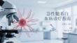 急性髓系白血病诊疗指南