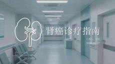 肾癌诊疗指南