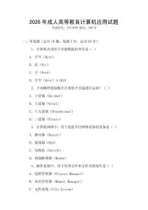 2026年成人高等教育计算机应用试题