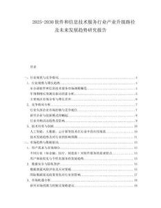 2025-2030軟件和信息技術服務行業產業升級路徑及未來發展趨勢研究報告