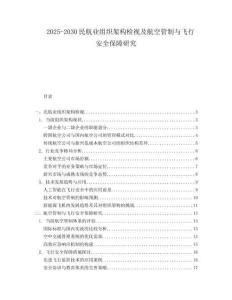 2025-2030民航業(yè)組織架構(gòu)檢視及航空管制與飛行安全保障研究