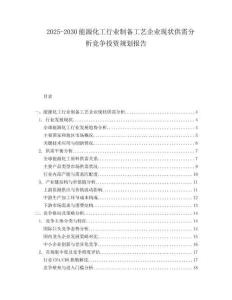 2025-2030能源化工行業制備工藝企業現狀供需分析競爭投資規劃報告