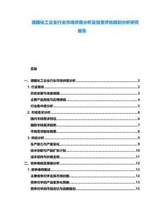 德國化工企業行業市場供需分析及投資評估規劃分析研究報告