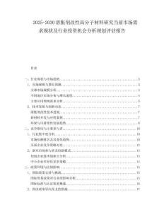 2025-2030溶脹劑改性高分子材料研究當(dāng)前市場需求現(xiàn)狀及行業(yè)投資機(jī)會分析規(guī)劃評估報告