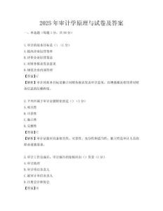 2025年審計(jì)學(xué)原理與試卷及答案