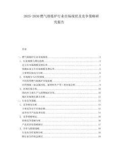 2025-2030燃氣熔煉爐行業(yè)市場現(xiàn)狀及競爭策略研究報告