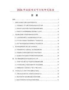 2026年鋁楦項目可行性研究報告