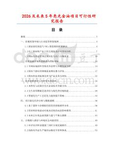 2026及未來5年亮光金油項目可行性研究報告