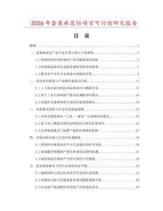 2026年套裝麻花鉆項目可行性研究報告