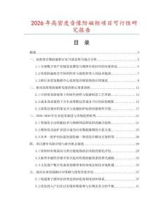 2026年高密度音像防磁柜项目可行性研究报告