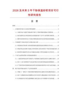 2026及未來5年干粉保溫砂漿項目可行性研究報告