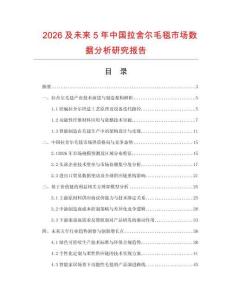 2026及未来5年中国拉舍尔毛毯市场数据分析研究报告