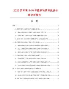 2026及未來5-10年搓鈔輪項目投資價值分析報告