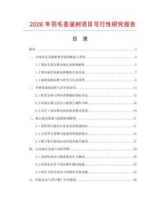2026年羽毛圣誕樹項目可行性研究報告