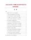 2026及未來5年鑲紅寶石掛件項目可行性研究報告