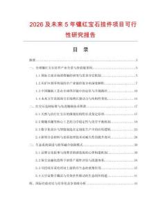 2026及未來5年鑲紅寶石掛件項目可行性研究報告