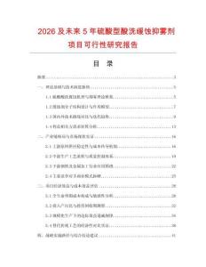 2026及未來5年硫酸型酸洗緩蝕抑霧劑項目可行性研究報告