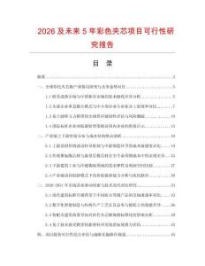 2026及未來5年彩色夾芯項目可行性研究報告