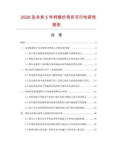 2026及未來5年柯根紗項目可行性研究報告