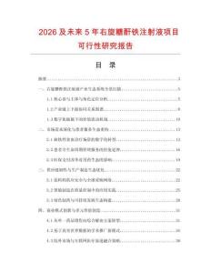2026及未來5年右旋糖酐鐵注射液項目可行性研究報告