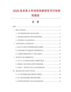 2026及未来5年泊存系统项目可行性研究报告