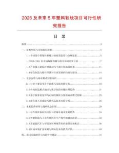 2026及未來(lái)5年塑料軟線項(xiàng)目可行性研究報(bào)告