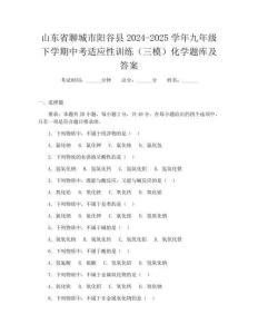 山東省聊城市陽谷縣2024-2025學年九年級下學期中考適應(yīng)性訓練(三模)化學題庫及答案