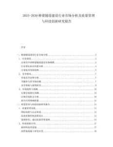 2025-2030桥梁隧道建设行业市场分析及质量管理与科技创新研究报告