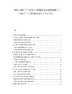 2025-2030乒乓球拍專業性能測試指標體系建立與亞洲乒乓球國際賽事競爭力評估報告