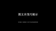 《圖文并茂巧展示》教學課件-2025-2026學年青島版（新教材）初中信息科技第四冊
