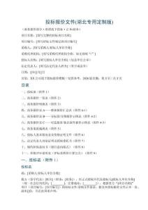 投标报价文件(湖北专用定制版)