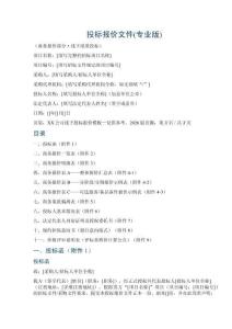 投标报价文件(专业版)